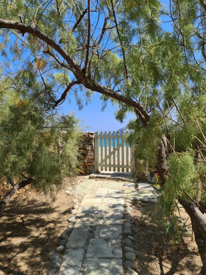 Nature Eco Living Serifos Livadi  외부 사진